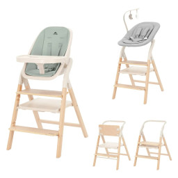Стул для кормления и шезлонг 3 в 1 Ergo Carrello CRL-16701 Elora Green, до 110 кг