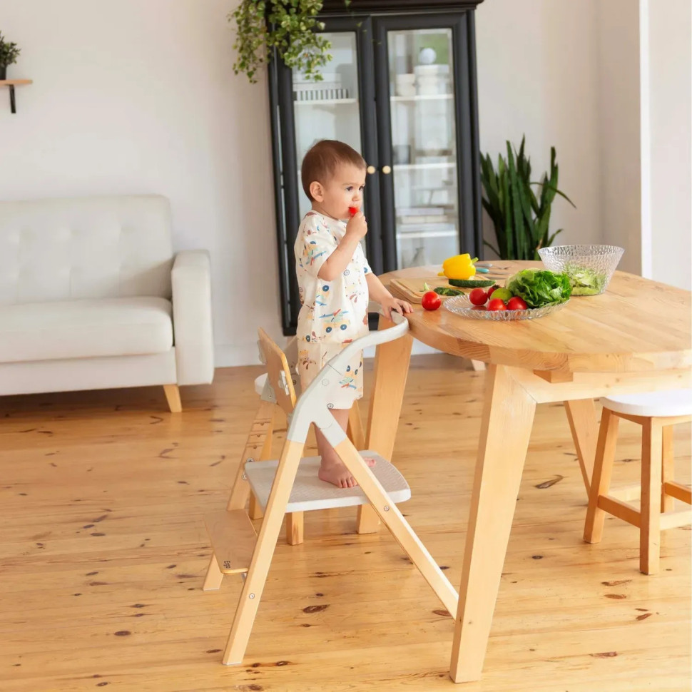 Стул для кормления и шезлонг 3 в 1 Ergo Carrello CRL-16701 Elora Green, до 110 кг