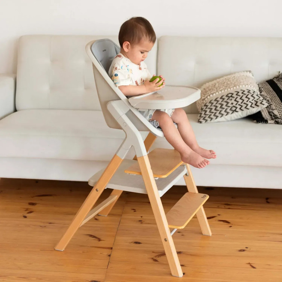 Стул для кормления и шезлонг 3 в 1 Ergo Carrello CRL-16701 Elora Green, до 110 кг