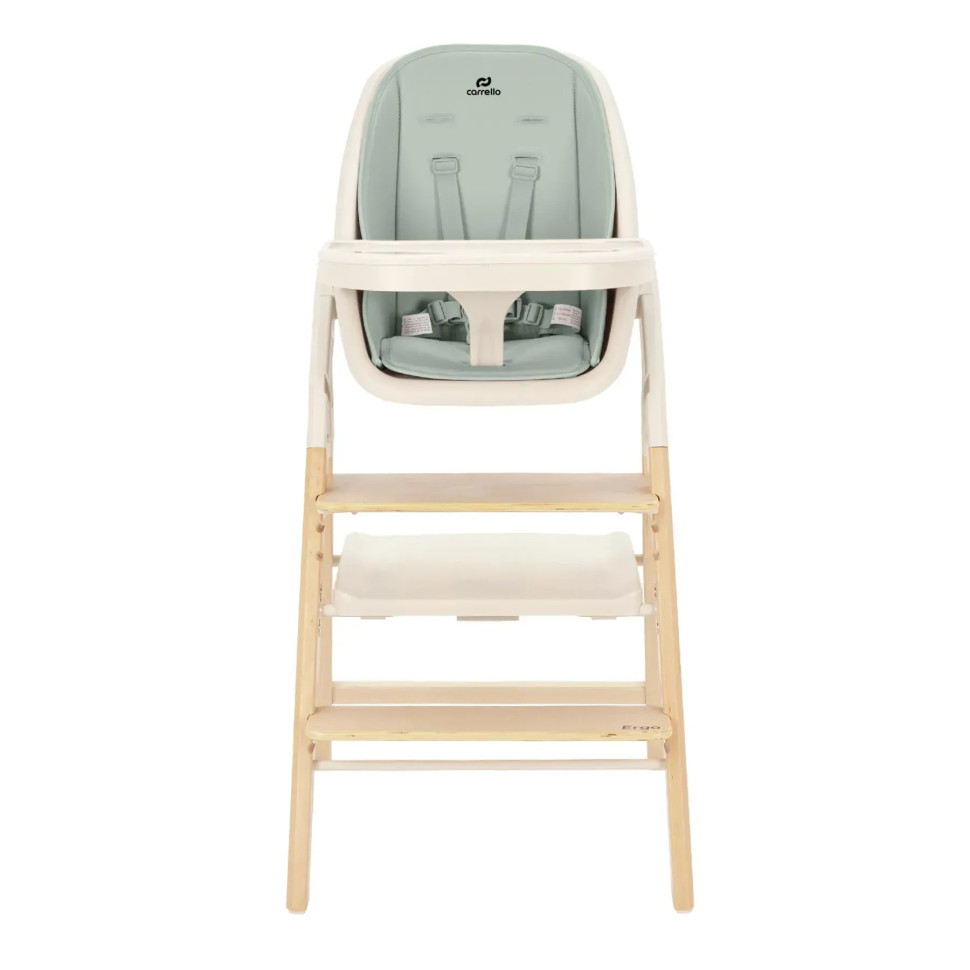 Стул для кормления и шезлонг 3 в 1 Ergo Carrello CRL-16701 Elora Green, до 110 кг