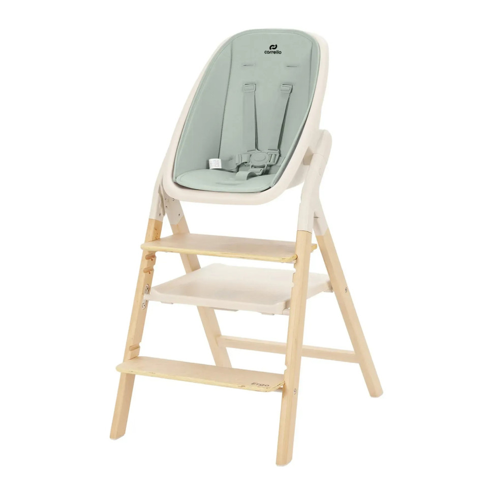 Стул для кормления и шезлонг 3 в 1 Ergo Carrello CRL-16701 Elora Green, до 110 кг