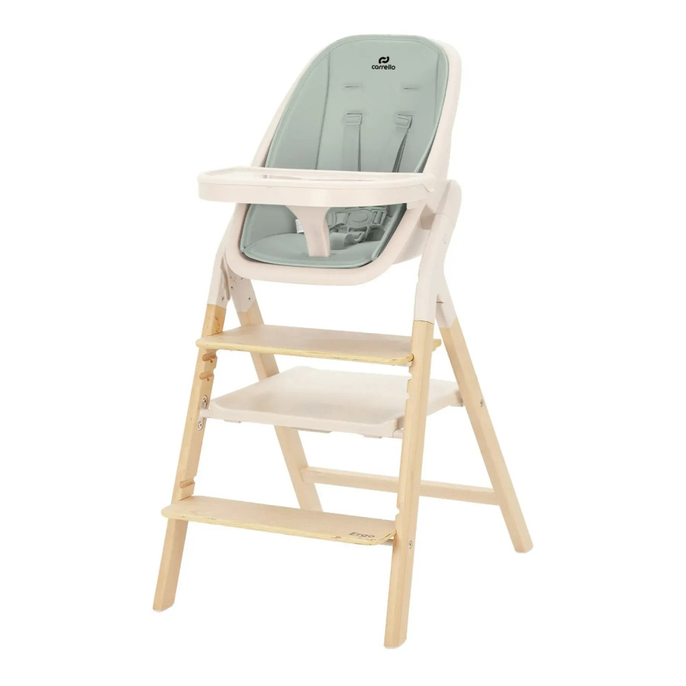 Стул для кормления и шезлонг 3 в 1 Ergo Carrello CRL-16701 Elora Green, до 110 кг