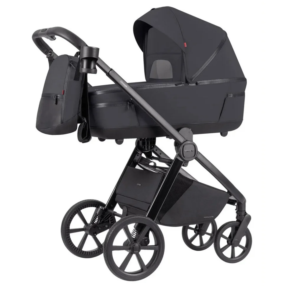 Коляска універсальна 3 в 1 Omega CARRELLO CRL-6545/1 Meteor Grey 