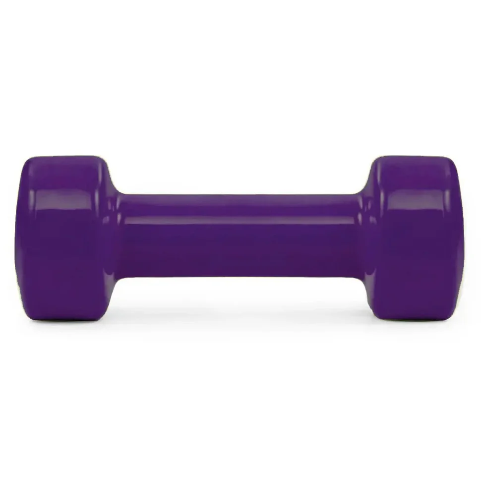 Гантель виниловая Achilles PowerPlay PP_4125_2.5kg, 2.5 кг Фиолетовая 1 шт