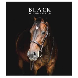 Тетрадь общая "Black" Школярик 096-3388L-1 в линию, 96 листов