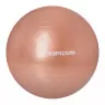 Мяч для фитнеса Profi M 0276 U/R 65 см, фиолетовый