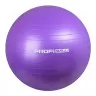 Мяч для фитнеса Profi M 0276 U/R 65 см, фиолетовый