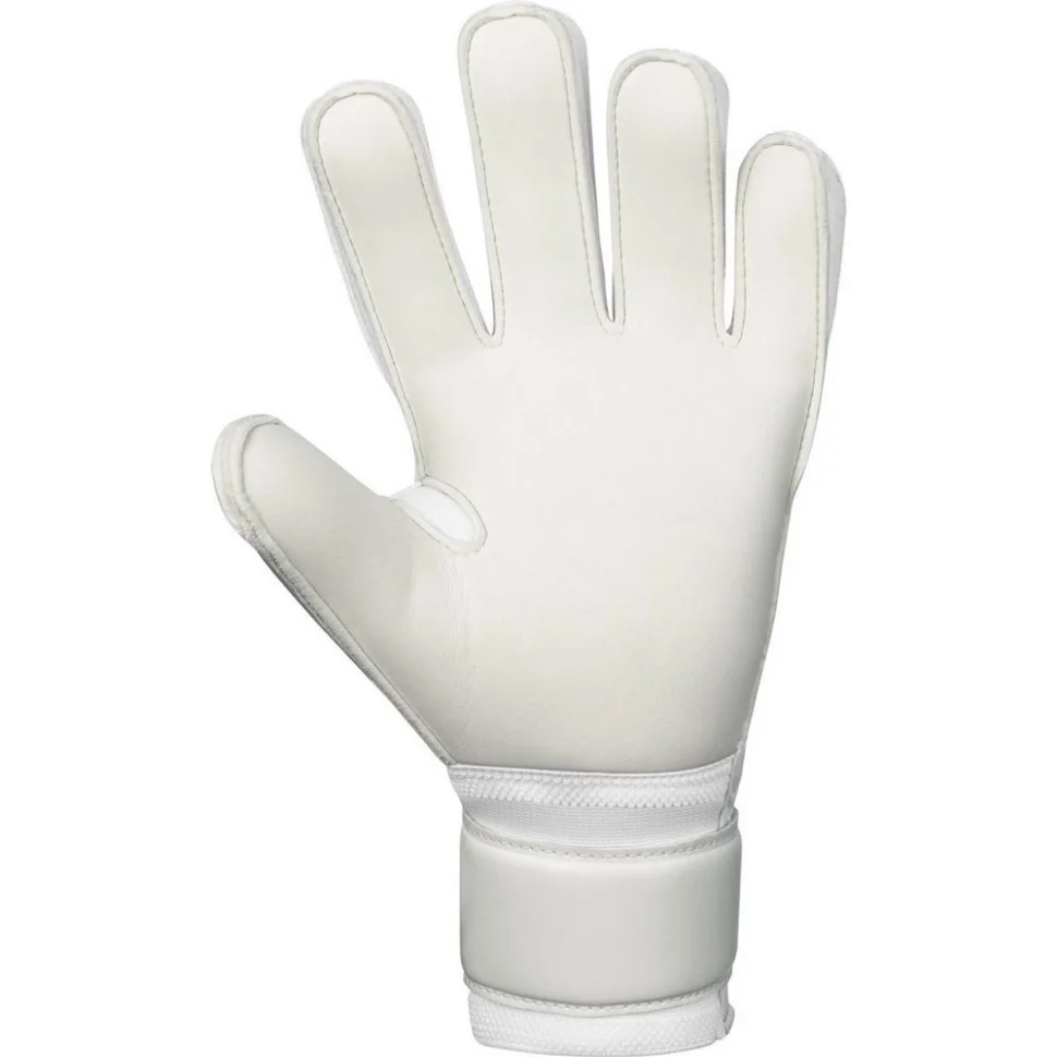 Перчатки вратарские GK Animal Basic RC Jako 2596-023-27 белый, зеленый 10 (27 см)