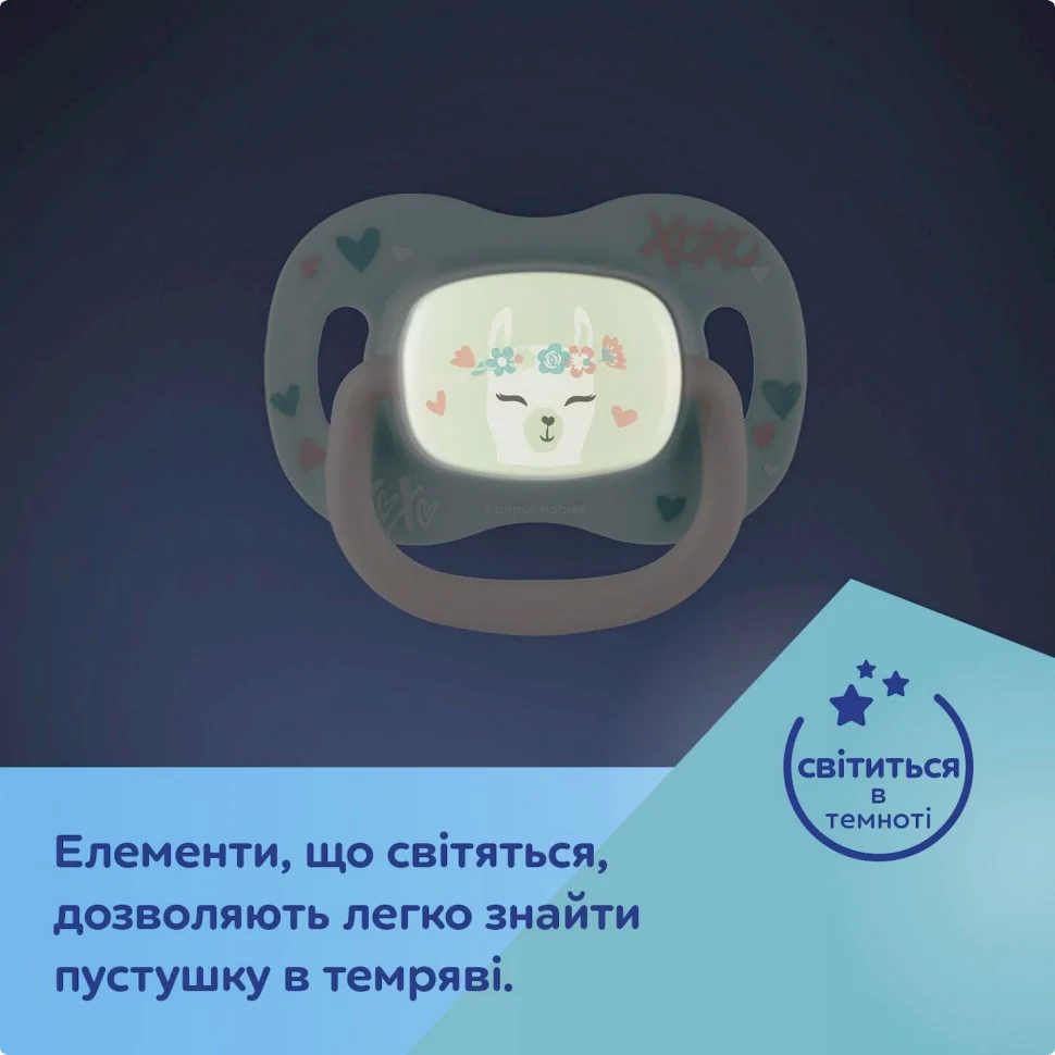 Пустушка силіконова симетрична Панда Canpol babies 34/921_pand 6-18 місяців