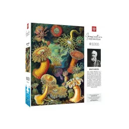 Пазл класичний Imagination: Ernst Haeckel: Sea Anemones GoodLoot 5908305244943, 1000 елементів