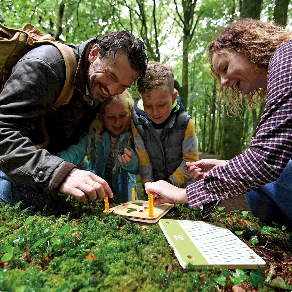 Прес для квітів Гербарій із фарбами Hape E5574 Nature Fun