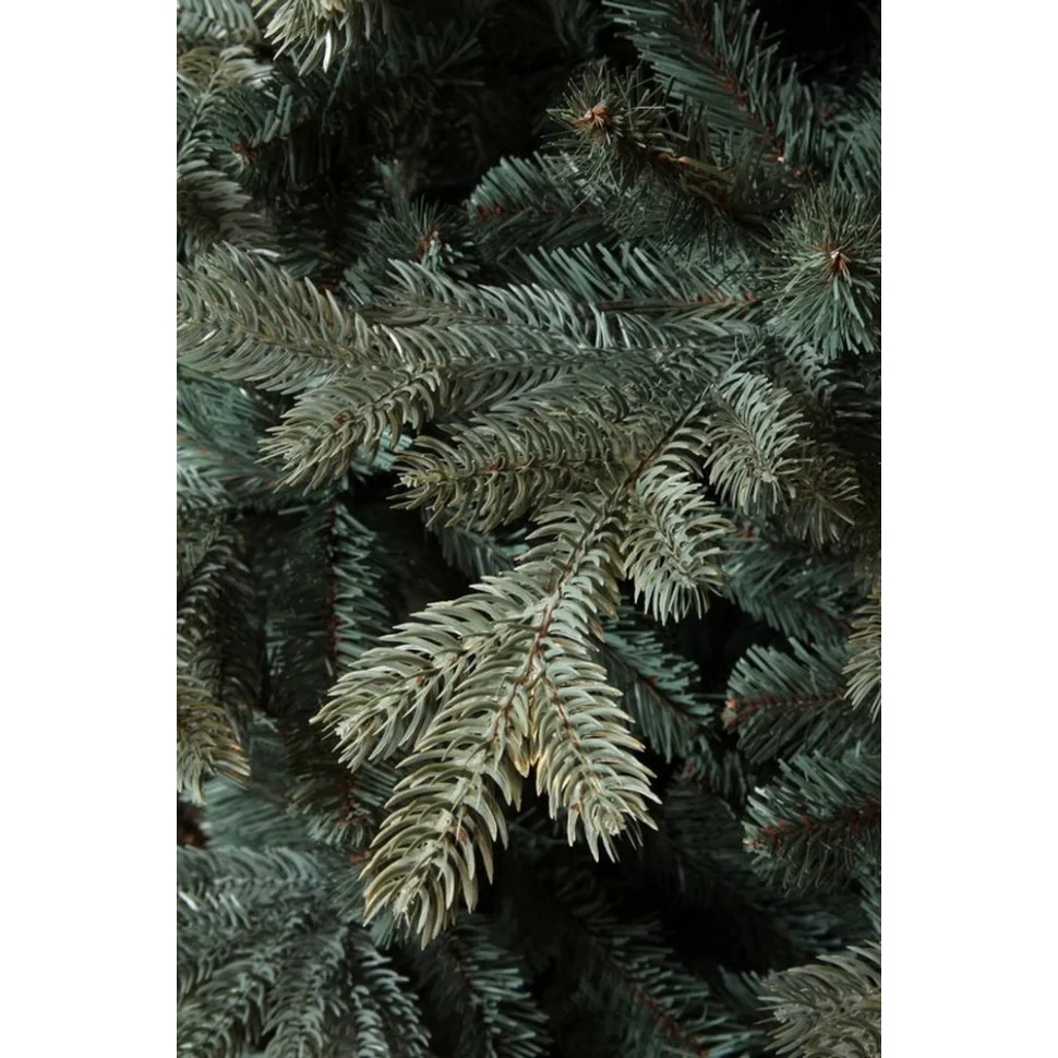 Ель Abies Nordmann de Luxe Triumph Tree 8711473288629, 215 см, голубая