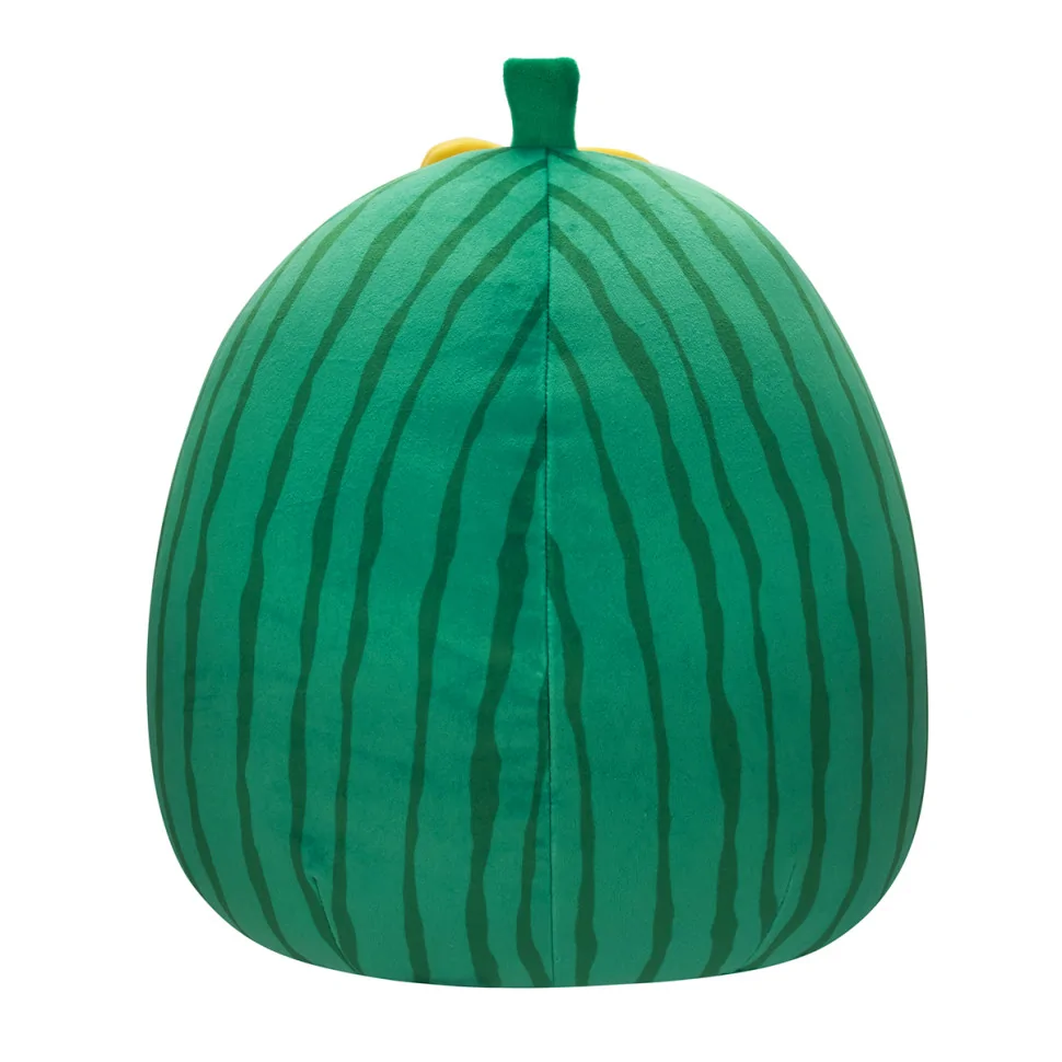 М'яка іграшка Кавун Ванда Squishmallows SQCR05422, 30 см