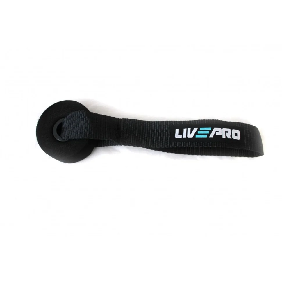 Фиксатор для эспандера DOOR ANCHOR LivePro LP8403 черный 