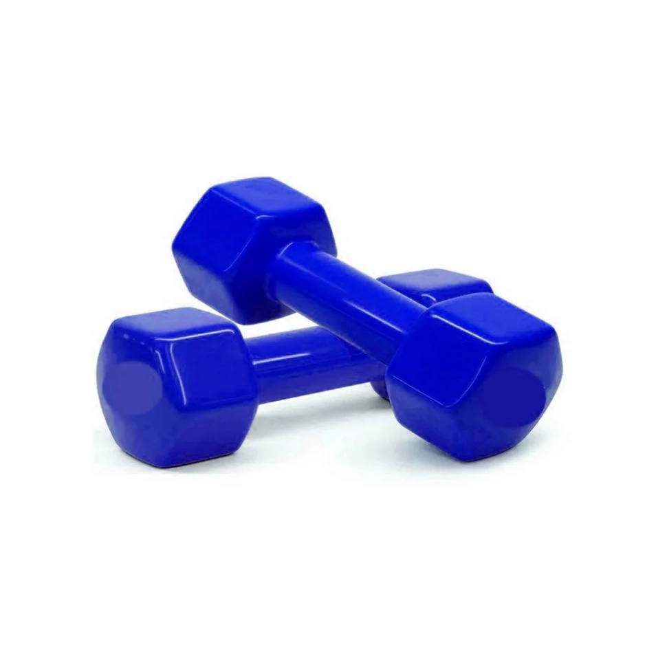 Гантели для фитнеса Vinyl Newt NE-VIN-2-B 2 шт по 2 кг, синие