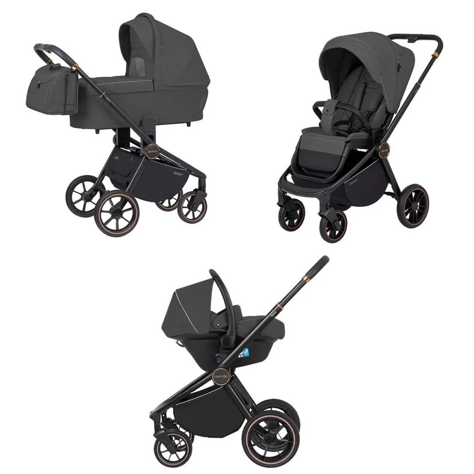 Коляска универсальная 3 в 1 Epica CARRELLO CRL-8511/1 Iron Grey 2024