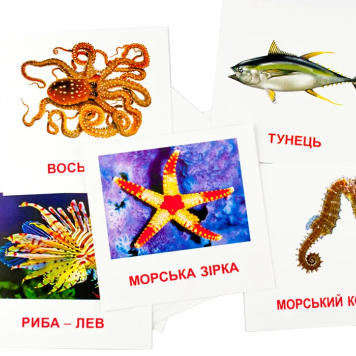 Карточки мини 