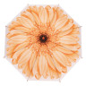 Детский зонтик "Цветок" COLOR-IT Х2109 трость, 62 см