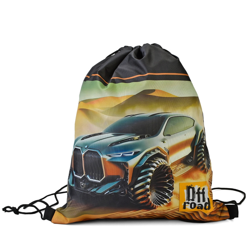 Детская сумка для обуви Bambi MK 5878-2 на завязках, размер 33,5х41 см