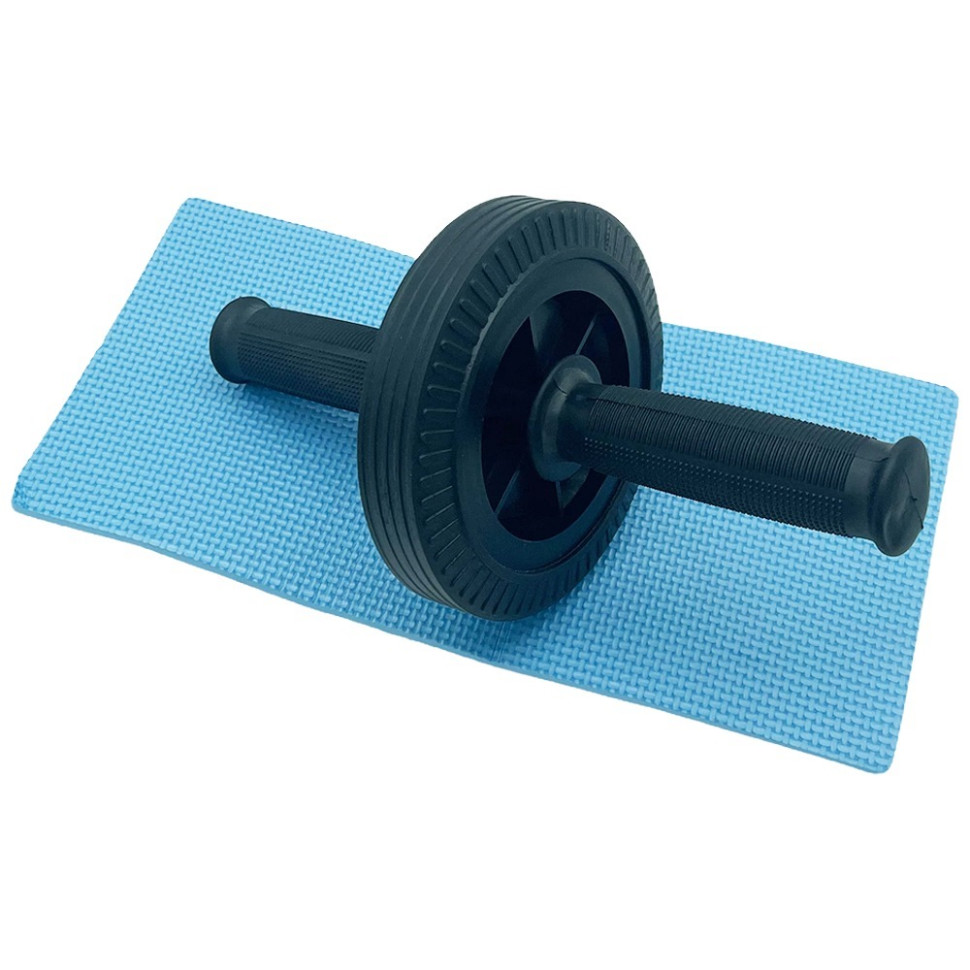 Ролик для пресса одинарный Ab Roller Newt NE-F-01BK