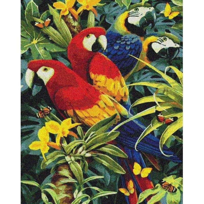 Алмазна мозаїка "Різнобарвні папужки" 40х50см AM6137 по цене 515 грн.