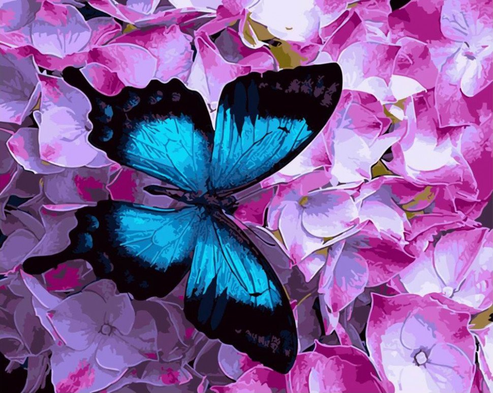 Картина за номерами. Brushme "Метелик на квітах" GX21627 по цене 240 грн.