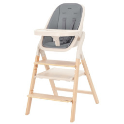 Детский стульчик для кормления Ergo Carrello CRL-16701 Carbon Grey Детский стульчик для кормления Ergo Carrello CRL-16701 Carbon Grey