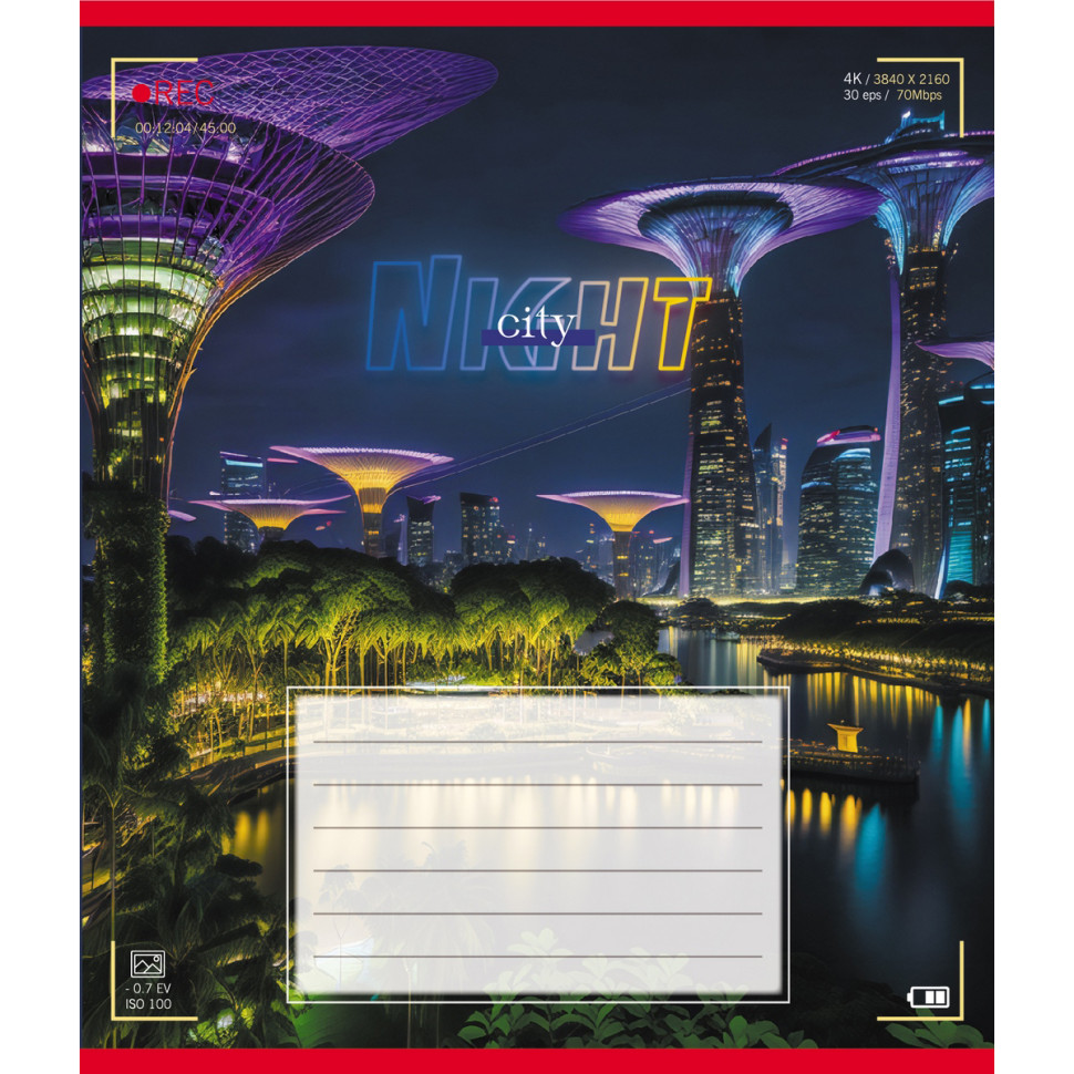 Тетрадь ученическая 