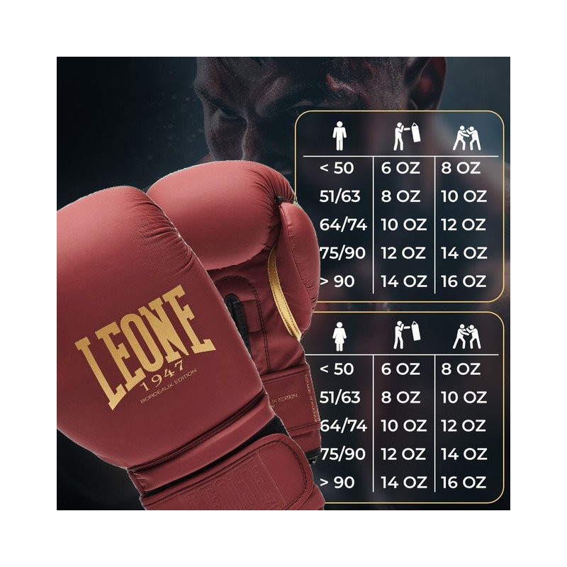 Боксерські рукавиці Bordeaux ED Leone GN059X_BORDEAUX_14oz, капа в комплекті 14 унцій