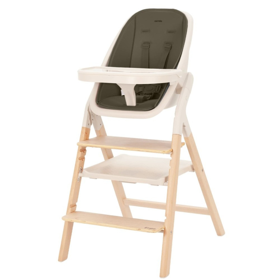 Дитячий cтілець для годування Ergo Carrello CRL-16701 Pine Green