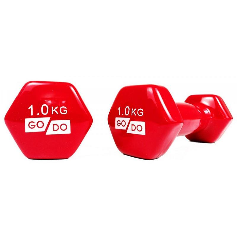Гантелі для фітнесу з вініловим покриттям GoDo Gemini Sport GD-1.0R 2 шт по 2 кг