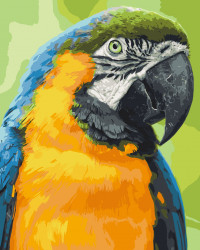 Картина по номерам Art Craft "Попугай Ара" 38х50 см 11626-AC