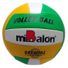 М'яч волейбольний Extreme Motion Bambi FB2339 № 5, 230 грам