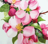 Картина по номерам Rosa „Яблоневый цвет“ 35х45 см N00013255