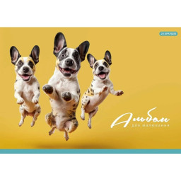 Альбом для малювання Школярик PB-GB-020-465-2 склейка 20 акрушів Альбом для малювання Школярик PB-GB-020-465-2 склейка 20 акрушів
