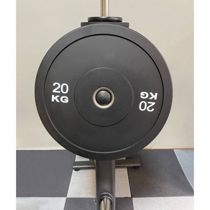 Бамперний диск FF51B1E Generation Fitness 522826, 20 кг