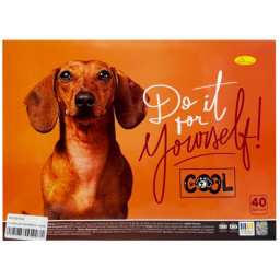 Альбом для рисования Апельсин АП-0310-2, 40 листов, пружина сбоку