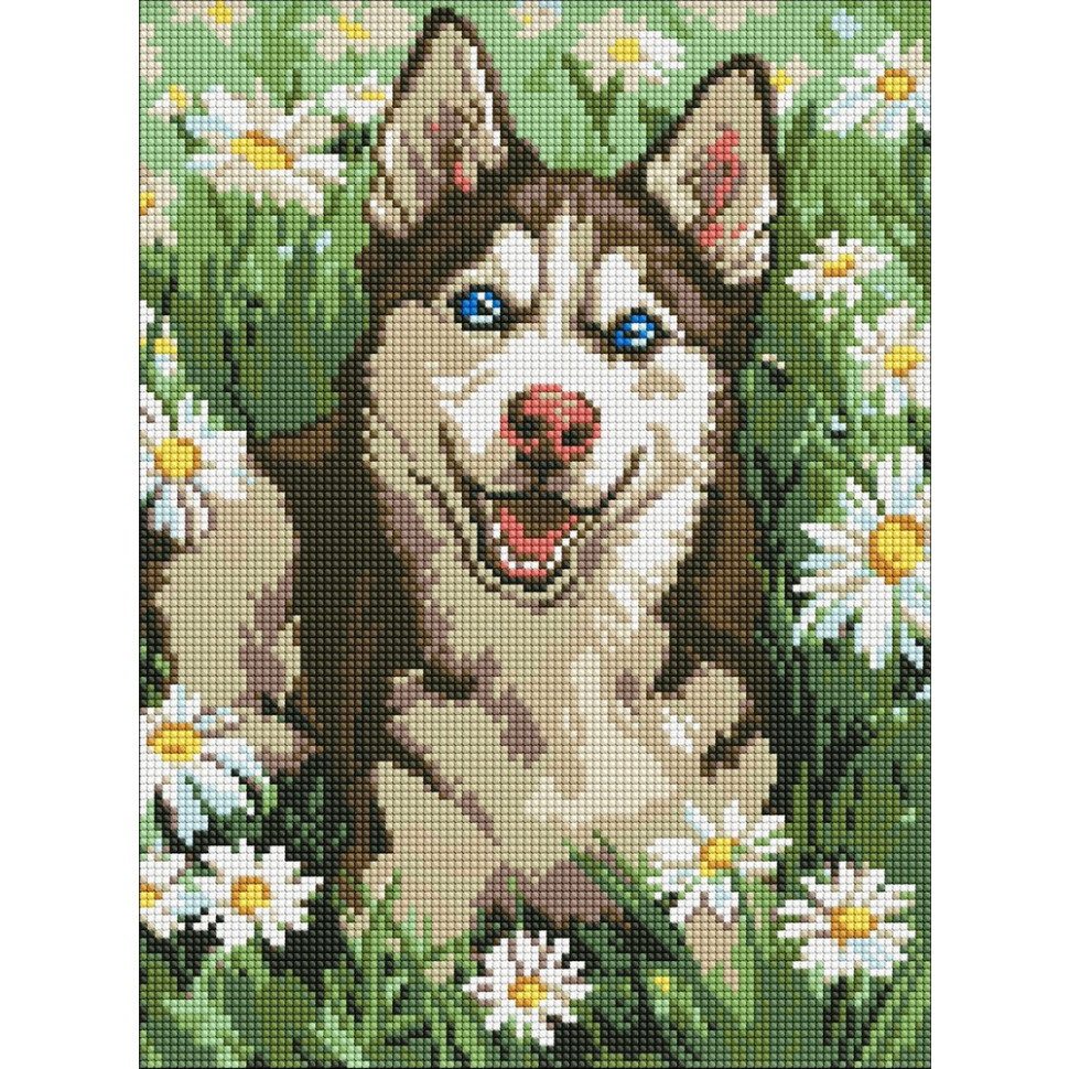 Алмазна мозаїка 