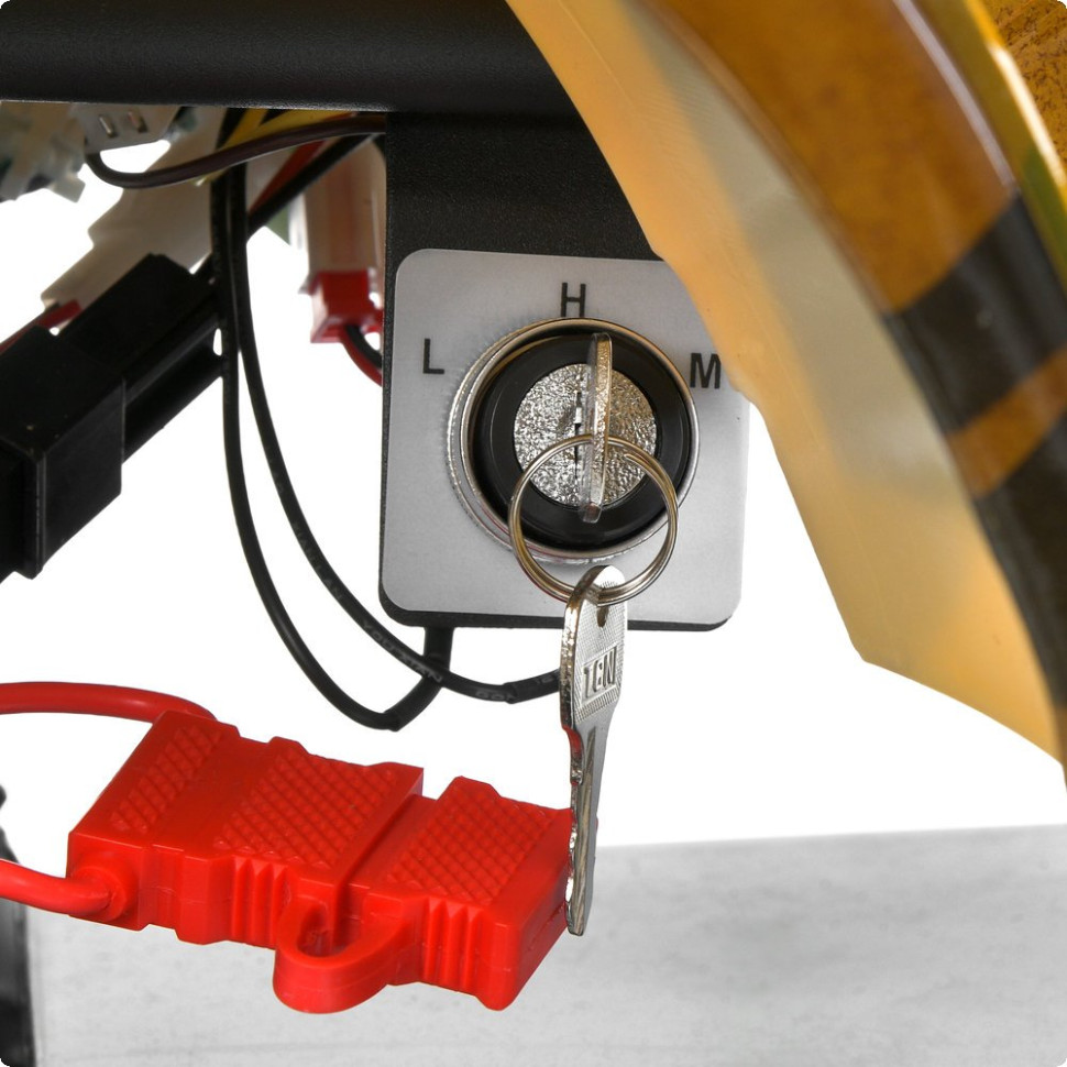 Детский электромобиль Квадроцикл Prof1 HB-EATV1000N-13 до 65 кг