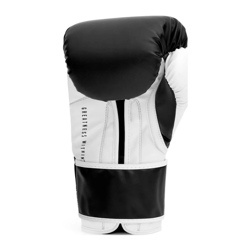 Боксерські рукавиці POWERLOCK OG TRAINING GLOVES Everlast P00004005-BK-WH-16 чорний/білий 16 унцій