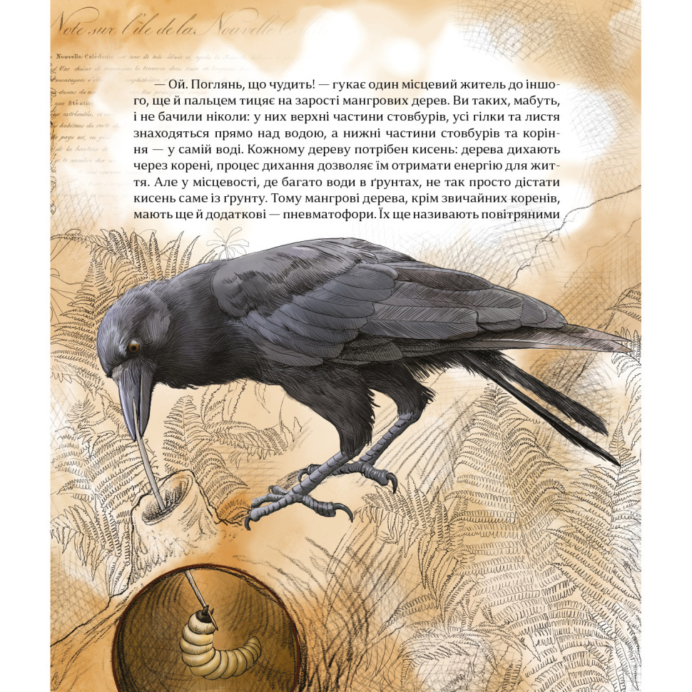 Дитяча книжка 