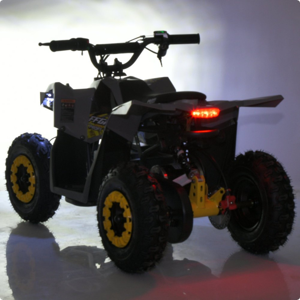 Детский электромобиль Квадроцикл Prof1 HB-FFG1000-11-6 до 45кг