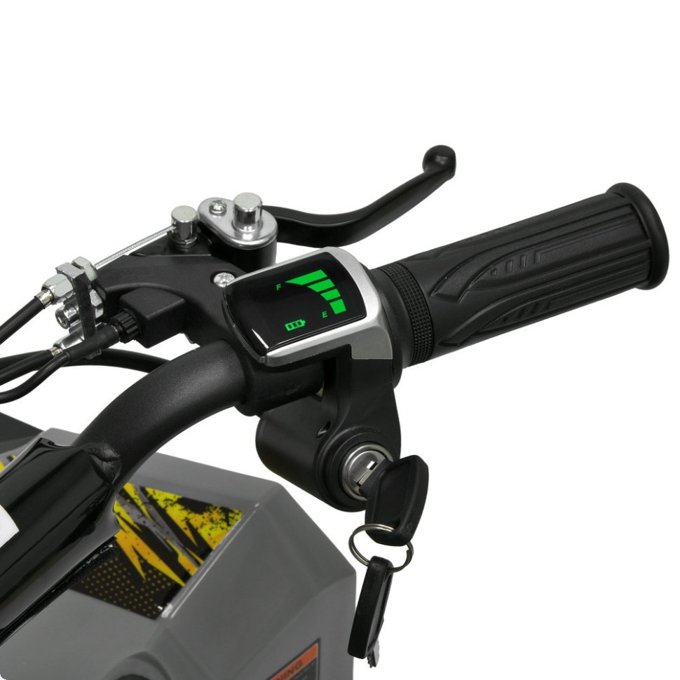 Детский электромобиль Квадроцикл Prof1 HB-FFG1000-11-6 до 45кг