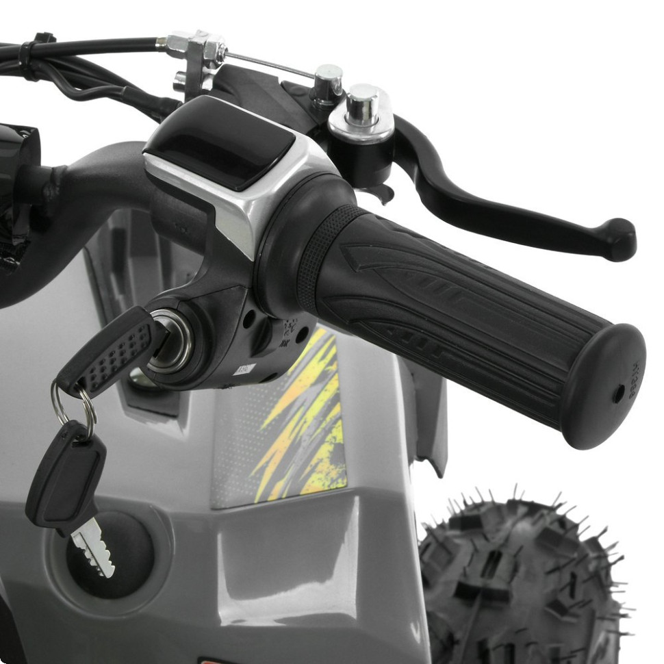 Детский электромобиль Квадроцикл Prof1 HB-FFG1000-11-6 до 45кг