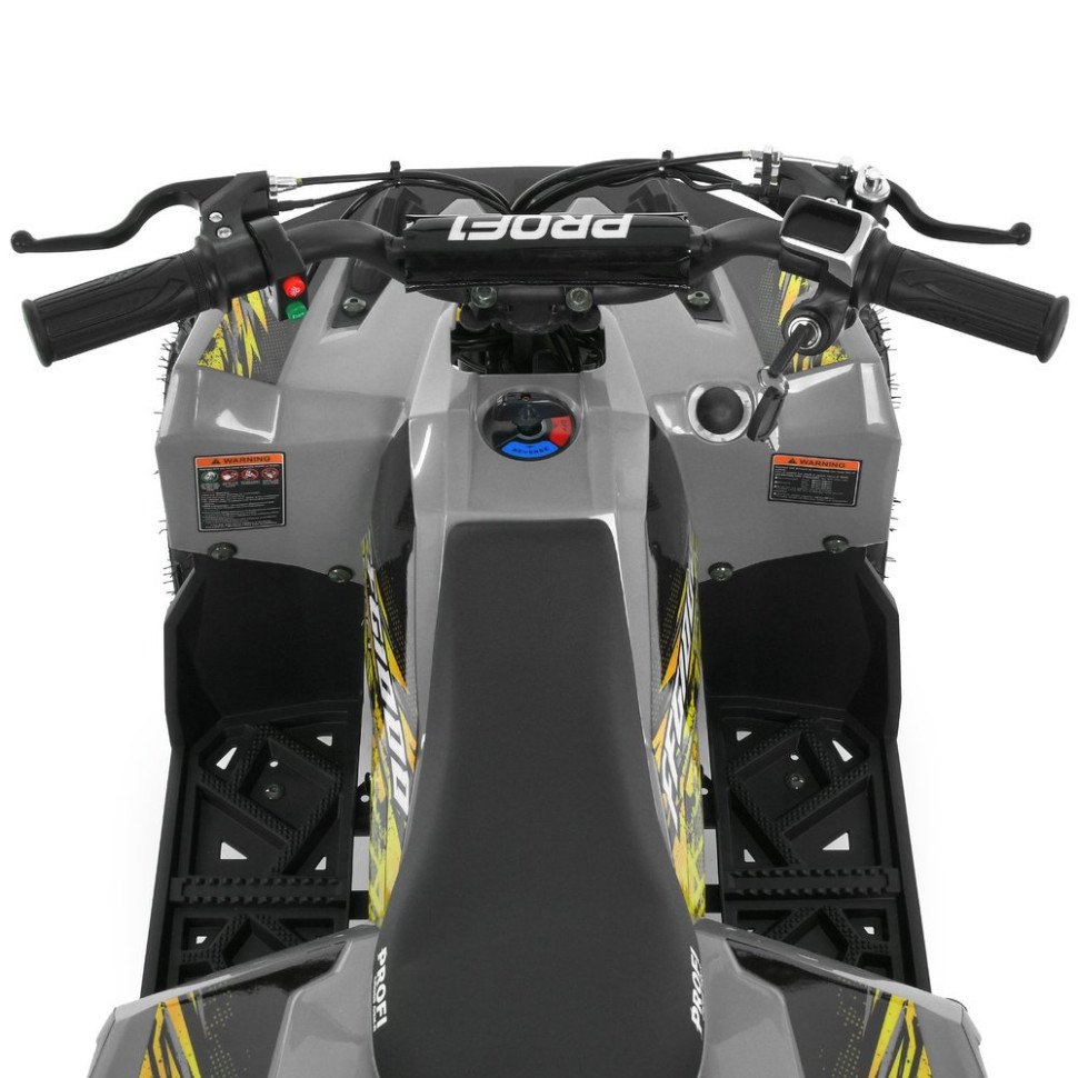 Детский электромобиль Квадроцикл Prof1 HB-FFG1000-11-6 до 45кг