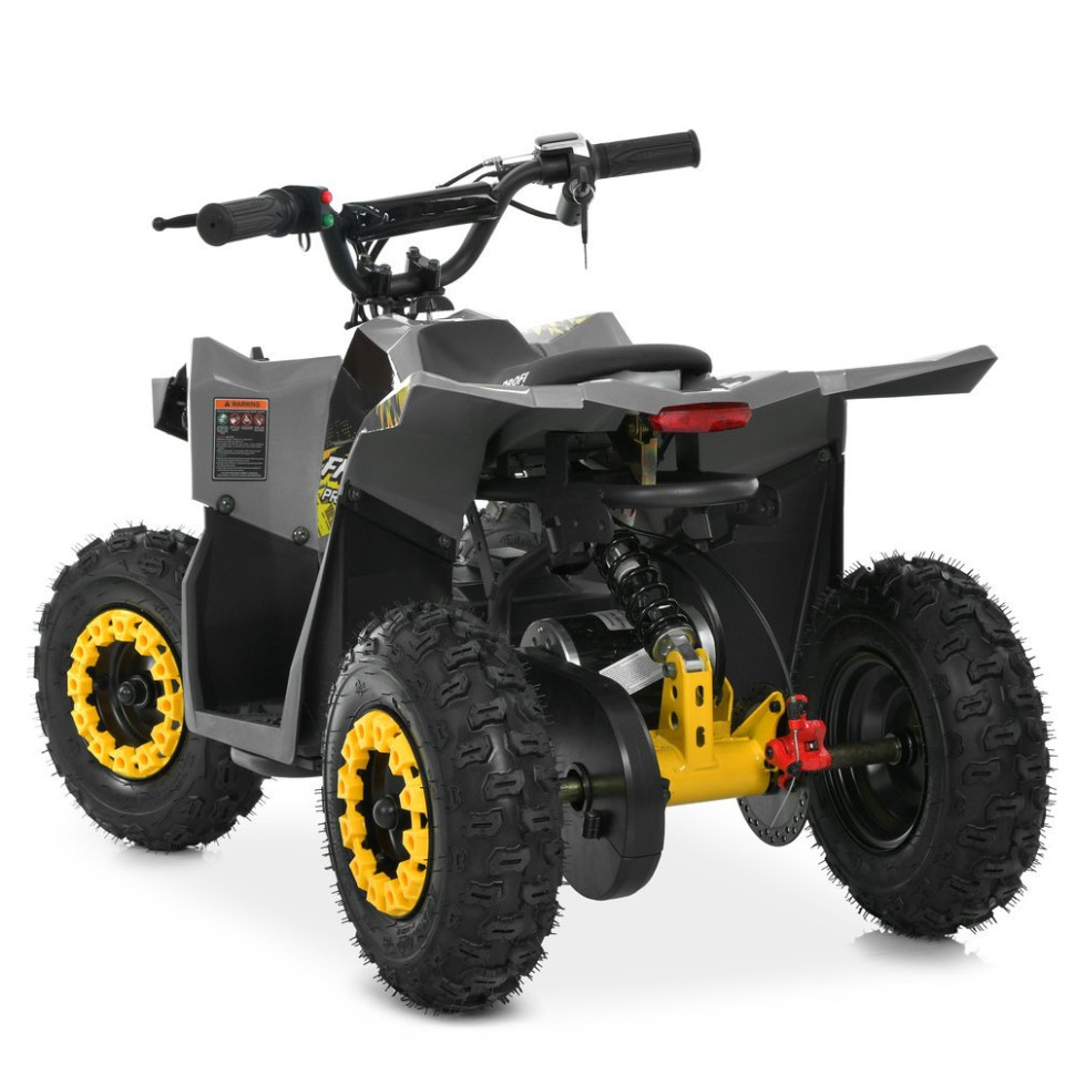Детский электромобиль Квадроцикл Prof1 HB-FFG1000-11-6 до 45кг