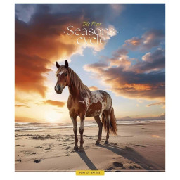 Зошит загальний "Four seasons" Школярик 048-3403L-3 у лінію, 48 аркушів