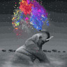 Картина за номерами. Rainbow Art "Грайливий слон" GX36046-RA 