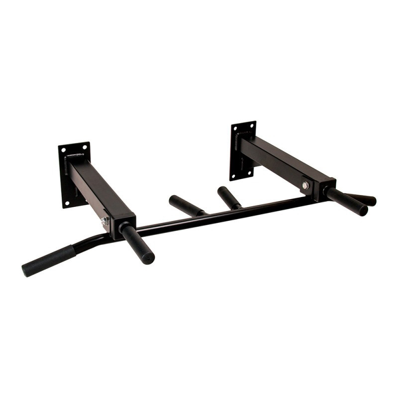Турник настенный LCR1103 inSPORTline 5494-ISL, до 120 кг