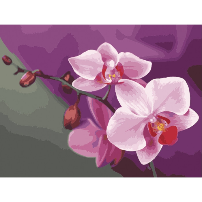 Картина за номерами. Букети "Рожеві орхідеї" 40*50см KHO1081 по цене 240 грн.
